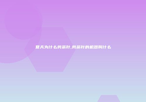 夏天为什么剪茶叶,剪茶叶的机器叫什么