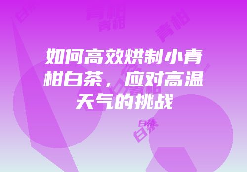 如何高效烘制小青柑白茶，应对高温天气的挑战