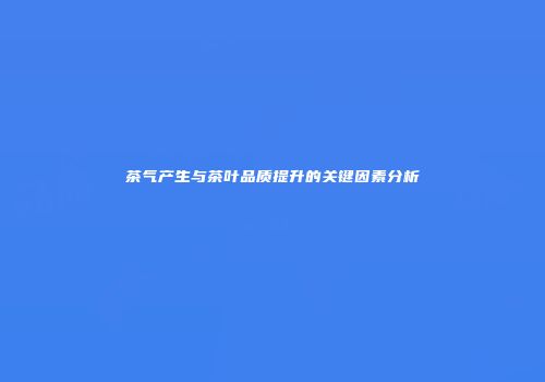 茶气产生与茶叶品质提升的关键因素分析