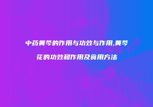 中药黄芩的作用与功效与作用,黄芩花的功效和作用及食用方法