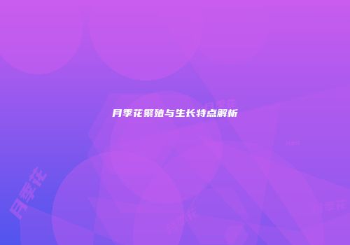 月季花繁殖与生长特点解析