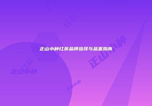 正山小种红茶品牌选择与品鉴指南