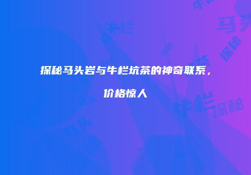 探秘马头岩与牛栏坑茶的神奇联系，价格惊人