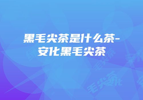 黑毛尖茶是什么茶-安化黑毛尖茶