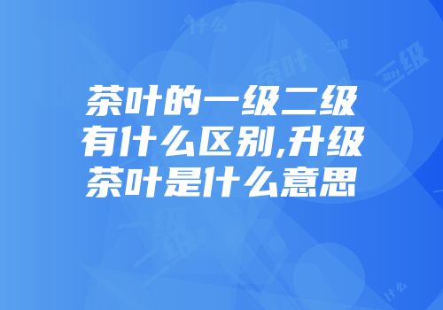 茶叶的一级二级有什么区别,升级茶叶是什么意思
