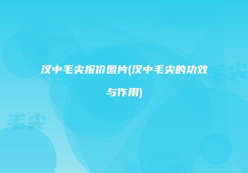 汉中毛尖报价图片(汉中毛尖的功效与作用)