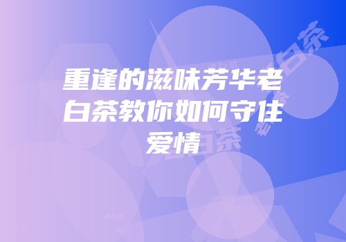 重逢的滋味芳华老白茶教你如何守住爱情