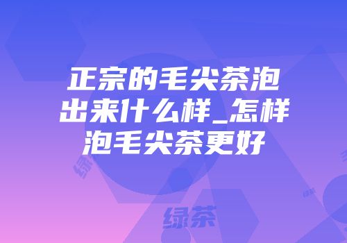正宗的毛尖茶泡出来什么样_怎样泡毛尖茶更好