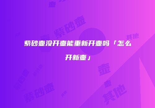 紫砂壶没开壶能重新开壶吗「怎么开新壶」