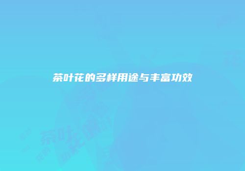 茶叶花的多样用途与丰富功效
