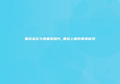 黑茶金花与黄曲霉图片_黑茶上面的黄霉能吗