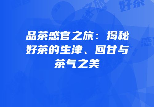品茶感官之旅：揭秘好茶的生津、回甘与茶气之美