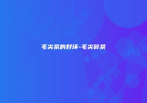 毛尖茶的好坏-毛尖碎茶