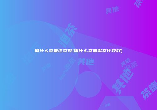 用什么茶壶泡茶好(用什么茶壶喝茶比较好)