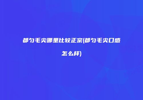 都匀毛尖哪里比较正宗(都匀毛尖口感怎么样)