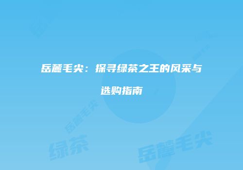 岳麓毛尖：探寻绿茶之王的风采与选购指南