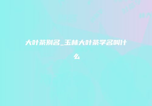 大叶茶别名_玉林大叶茶学名叫什么