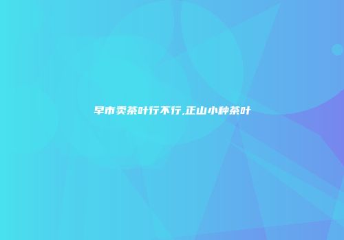 早市卖茶叶行不行,正山小种茶叶