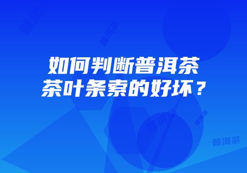 如何判断普洱茶茶叶条索的好坏？