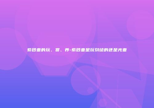 紫砂壶的玩、赏、养-紫砂壶是玩刻绘的还是光壶