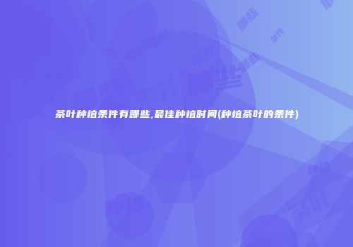 茶叶种植条件有哪些,最佳种植时间(种植茶叶的条件)