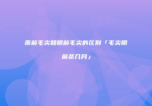雨前毛尖和明前毛尖的区别「毛尖明前茶几月」