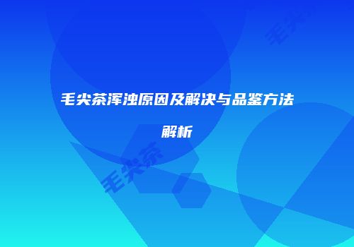 毛尖茶浑浊原因及解决与品鉴方法解析