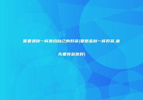需要遇到一杯适合自己的好茶(要想品到一杯好茶,首先要将茶泡好)