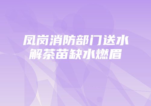 凤岗消防部门送水解茶苗缺水燃眉