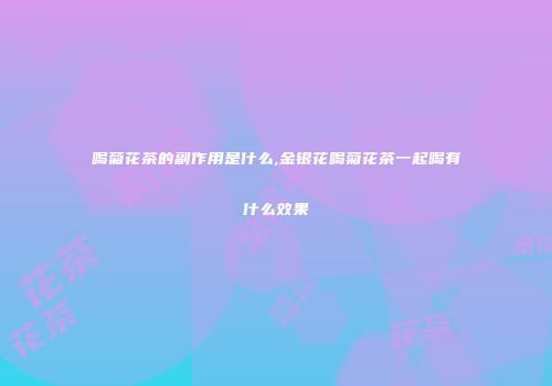 喝菊花茶的副作用是什么,金银花喝菊花茶一起喝有什么效果