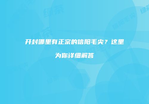 开封哪里有正宗的信阳毛尖？这里为你详细解答