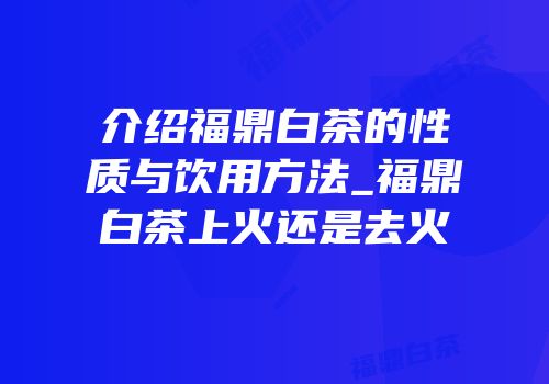 介绍福鼎白茶的性质与饮用方法_福鼎白茶上火还是去火