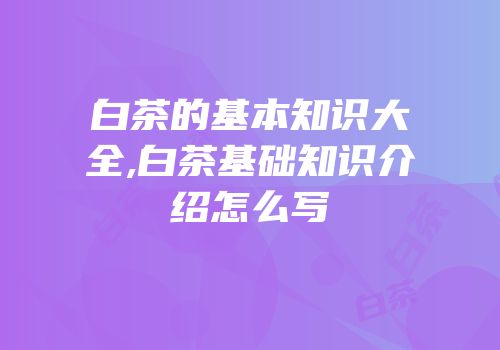 白茶的基本知识大全,白茶基础知识介绍怎么写