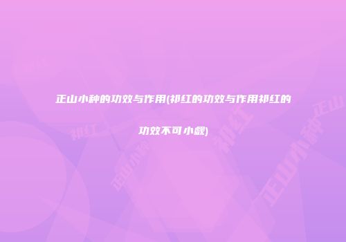 正山小种的功效与作用(祁红的功效与作用祁红的功效不可小觑)