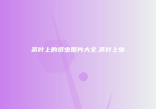 茶叶上的纸虫图片大全,茶叶上虫
