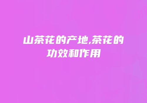 山茶花的产地,茶花的功效和作用