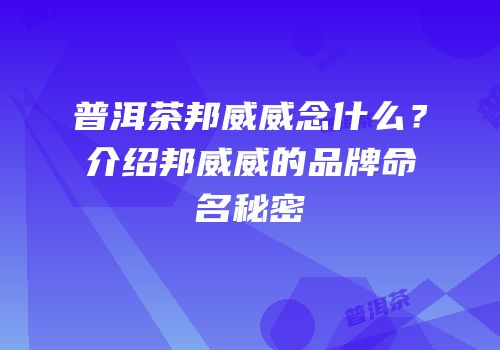 普洱茶邦威威念什么？介绍邦威威的品牌命名秘密
