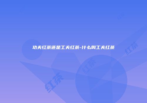 功夫红茶还是工夫红茶-什么叫工夫红茶