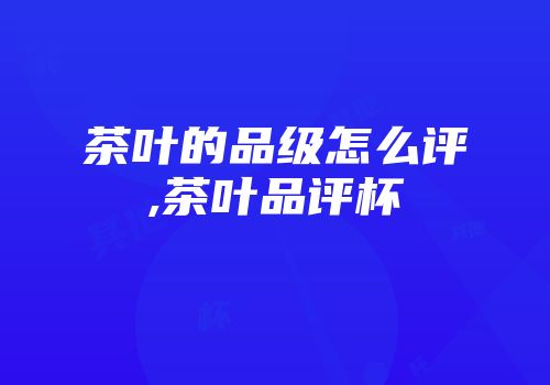 茶叶的品级怎么评,茶叶品评杯