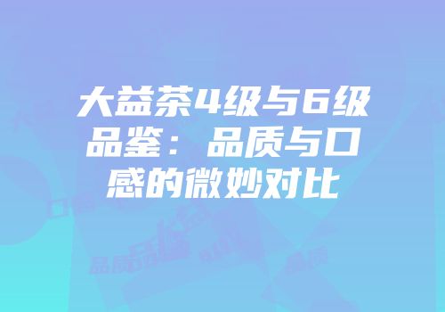 大益茶4级与6级品鉴：品质与口感的微妙对比