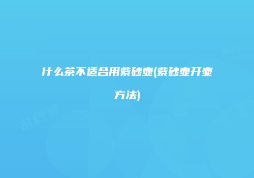 什么茶不适合用紫砂壶(紫砂壶开壶方法)
