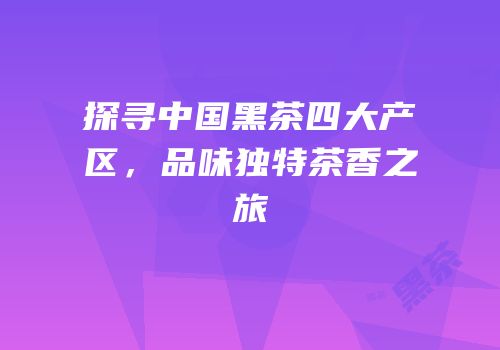 探寻中国黑茶四大产区，品味独特茶香之旅