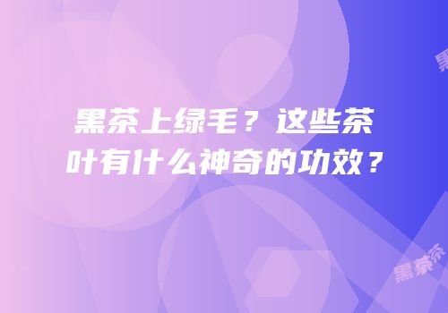 黑茶上绿毛？这些茶叶有什么神奇的功效？