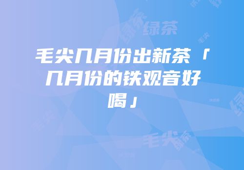 毛尖几月份出新茶「几月份的铁观音好喝」