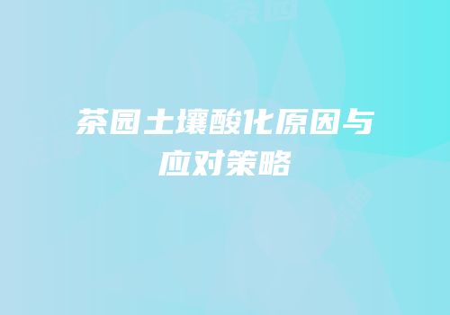 茶园土壤酸化原因与应对策略