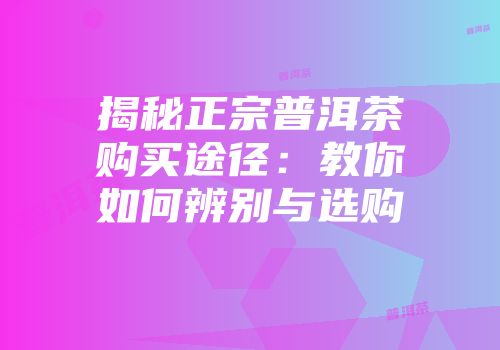 揭秘正宗普洱茶购买途径：教你如何辨别与选购