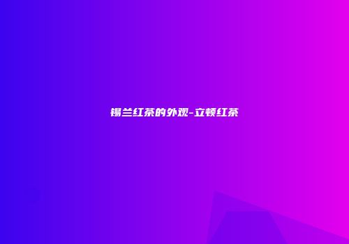 锡兰红茶的外观-立顿红茶