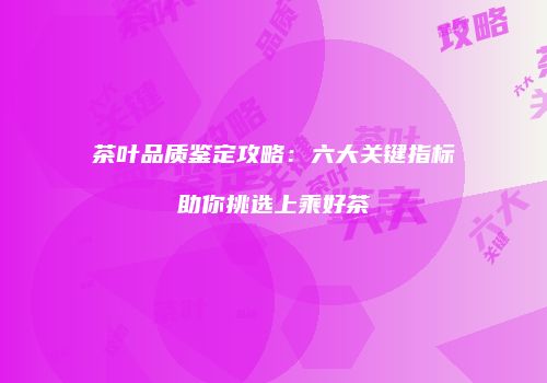 茶叶品质鉴定攻略：六大关键指标助你挑选上乘好茶