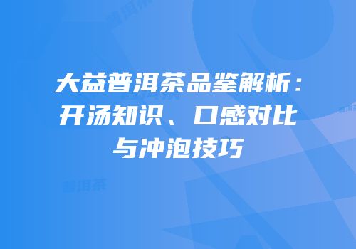 大益普洱茶品鉴解析：开汤知识、口感对比与冲泡技巧