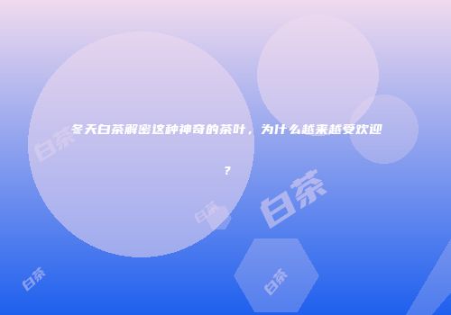 冬天白茶解密这种神奇的茶叶，为什么越来越受欢迎？